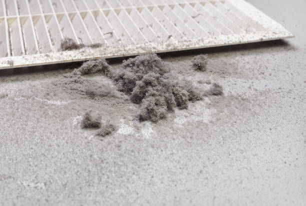 Best Air Duct Mold Removal  in Harpersville, AL